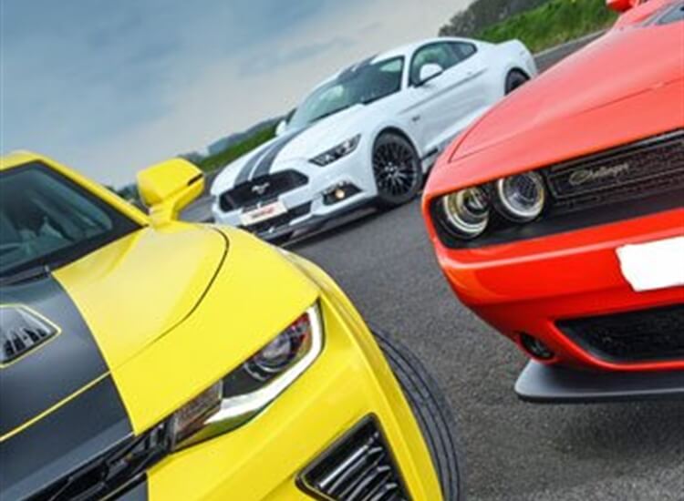 drive me fleet drive me fleet